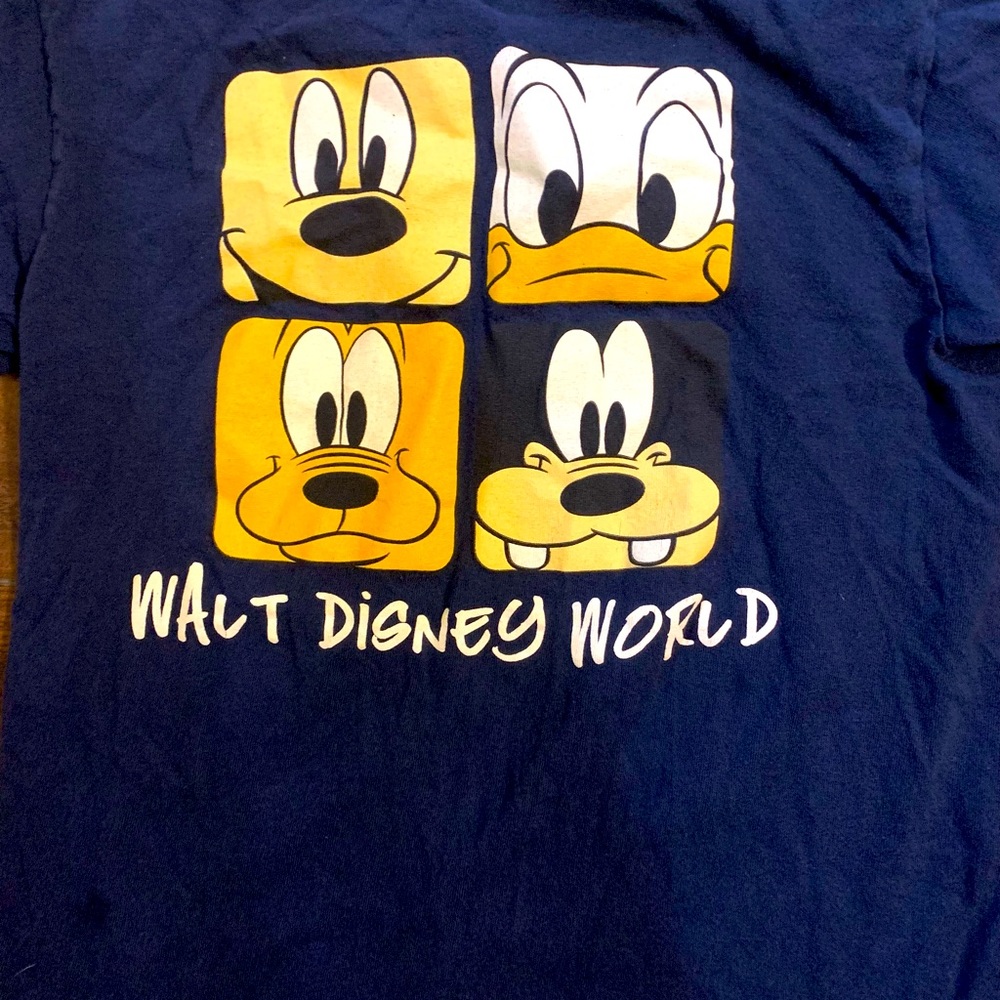 Walt Disney World